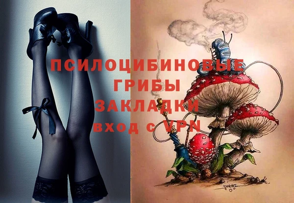 гидра Белокуриха