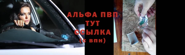 гидра Белокуриха