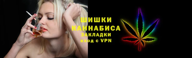 гидра Белокуриха