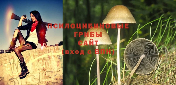 стафф Белоозёрский