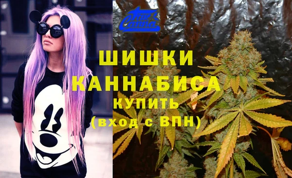 гидра Белокуриха