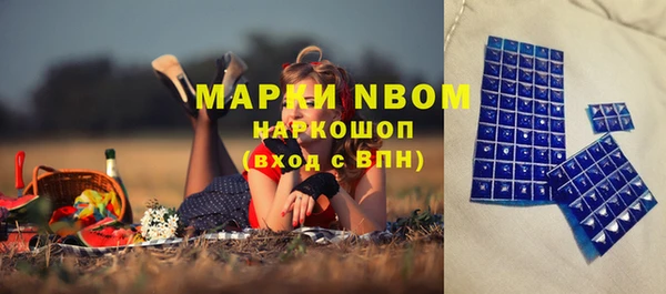 гидра Белокуриха
