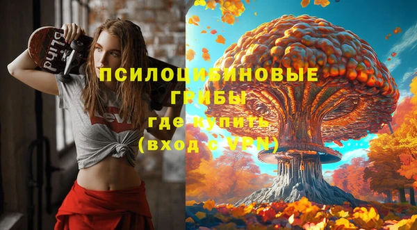 спиды Беломорск