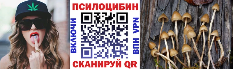 Галлюциногенные грибы GOLDEN TEACHER  мориарти Telegram  Железногорск-Илимский 
