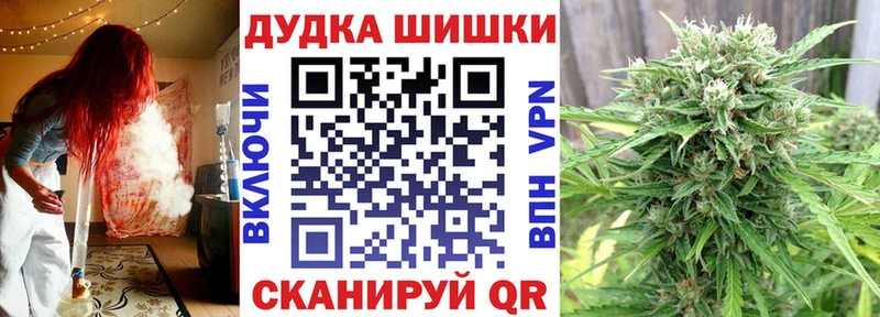 darknet состав  как найти закладки  Железногорск-Илимский  Бошки марихуана THC 21% 